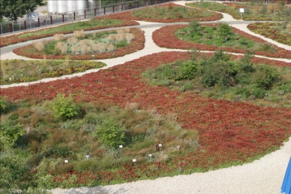 Landschaftsgestaltung mit roten und grünen Pflanzen in spiralförmigen Mustern.